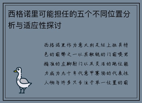 西格诺里可能担任的五个不同位置分析与适应性探讨 西格诺里可能担任的五个不同位置分析与适应性探讨