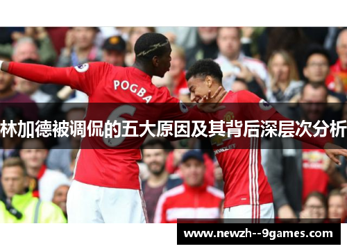 林加德被调侃的五大原因及其背后深层次分析