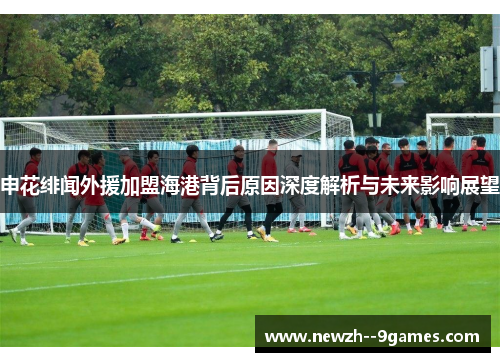 申花绯闻外援加盟海港背后原因深度解析与未来影响展望